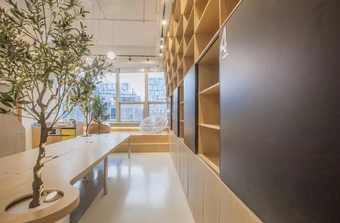 牛在墻上飛，猴子樹梢醉；這是在動物園辦公嗎？